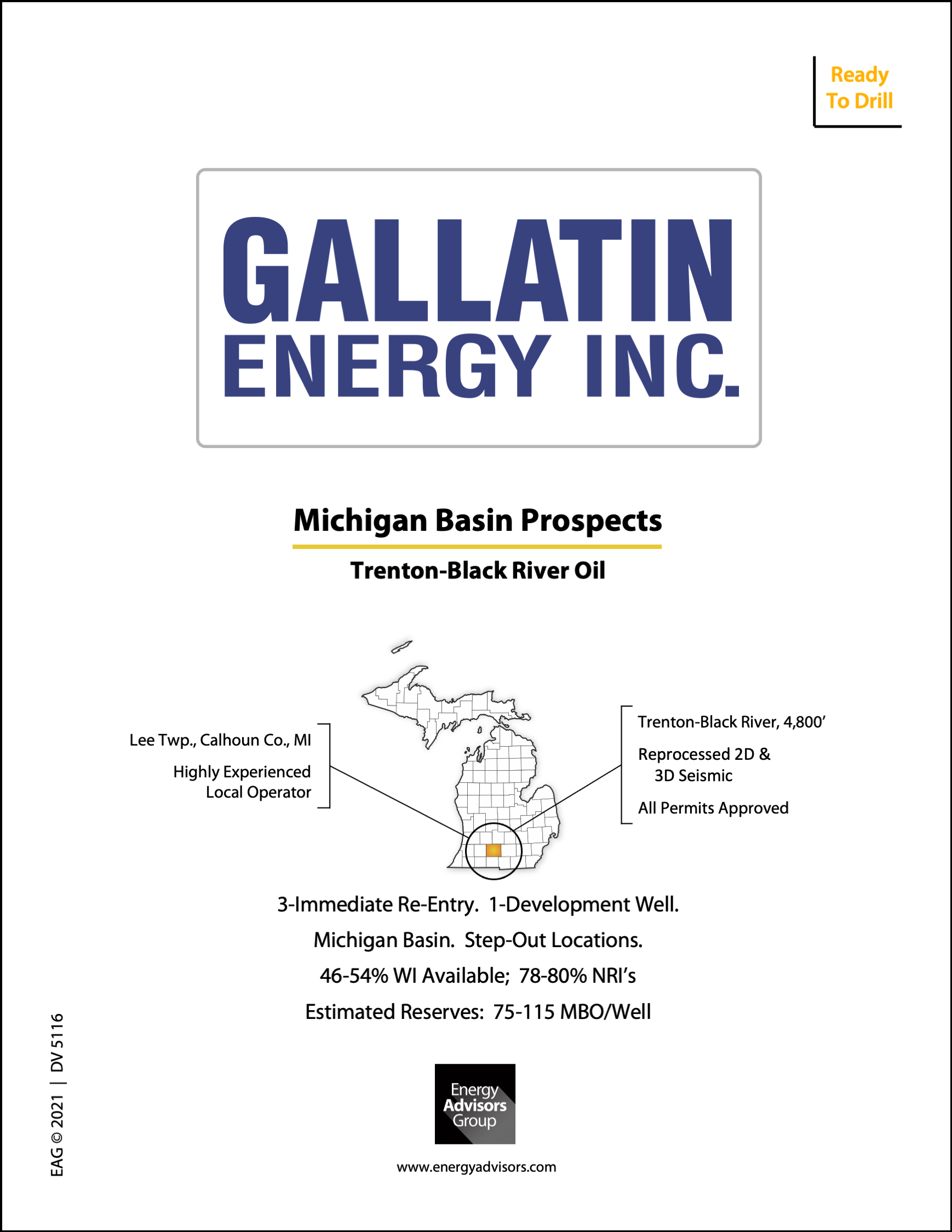 MICHIGAN BASIN DEVELOPMENT PROSPECT - Energy Advisors Group MICHIGAN BASIN DEVELOPMENT PROSPECT